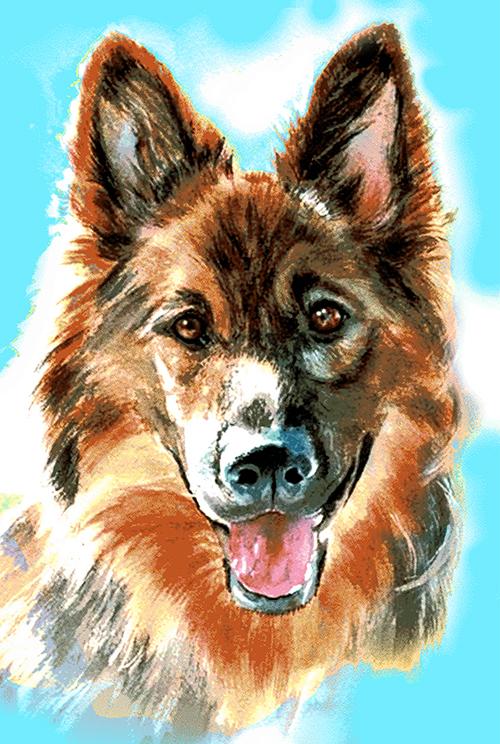 Полотенце махровое Собачки (друг) 25х50